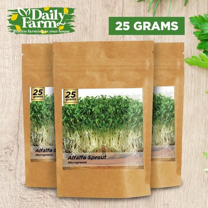 Benih Microgreen Alfalfa Sprout Kemasan 25 Grm