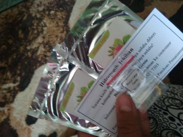 Benih Bibit Biji Strawberry Giant Raksasa Stroberi Strawberi
