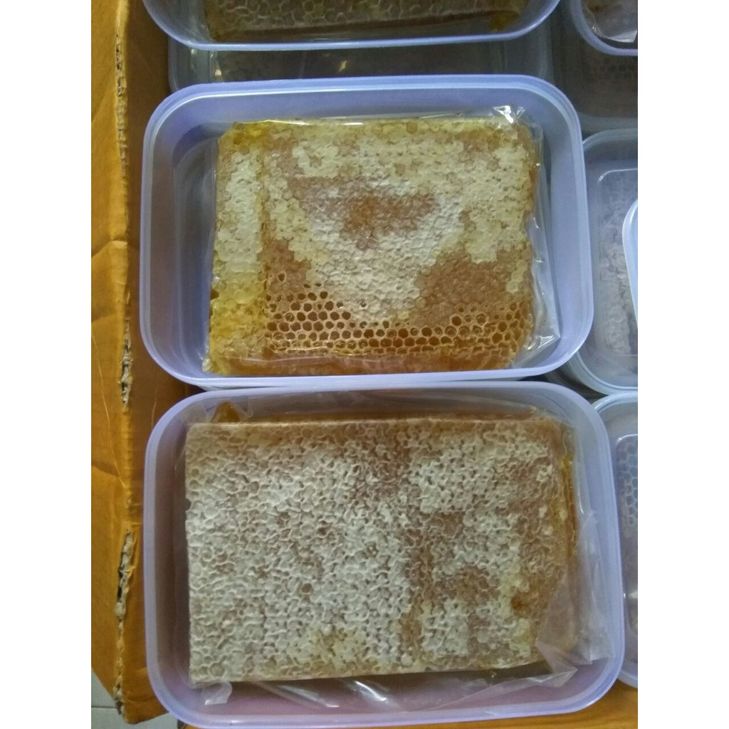 

[COD] MADU SARANG MELIFERA ASLI 250GRAM / SARANG MADU/MADU MELIFERA / MADU MURNI / MADU IBU HAMIL