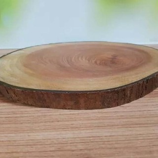 Asli Talenan  Kayu  Bentuk Potongan Batang Pohon 30 Cm 