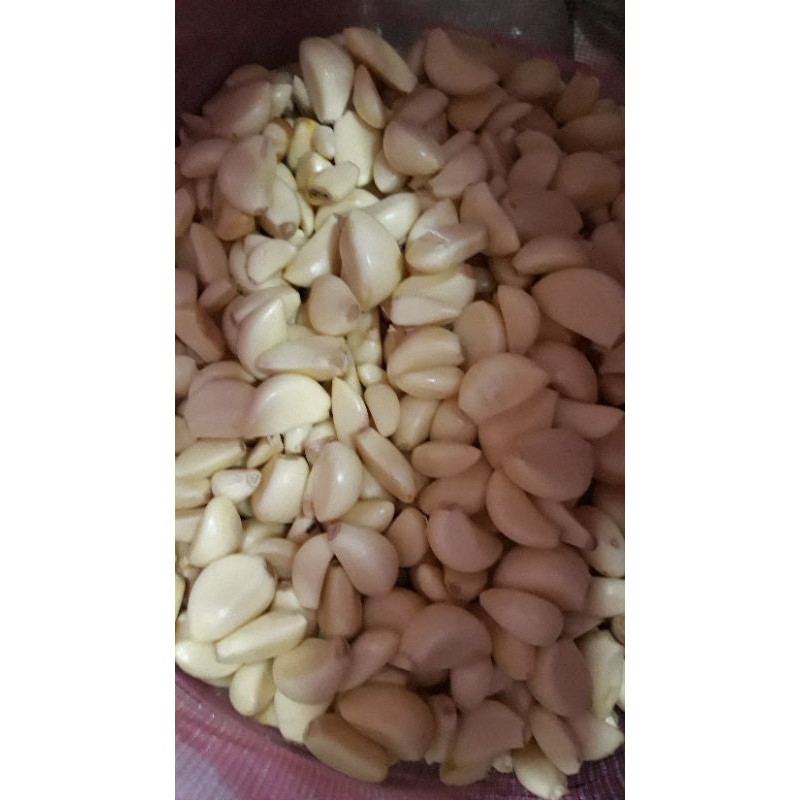 

bawang putih kupas super fres