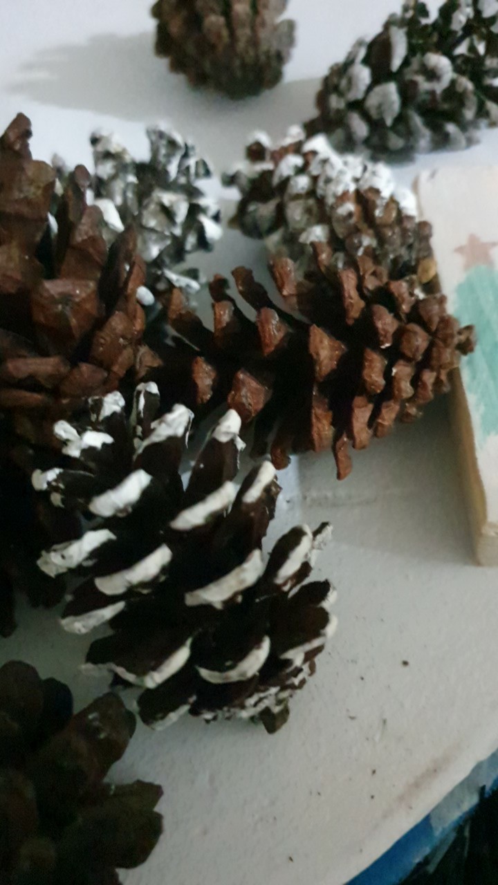 Bunga Pinus Salju Bunga Pinus Kering Putih Salju Hiasan Pohon Natal Dekorasi Natal