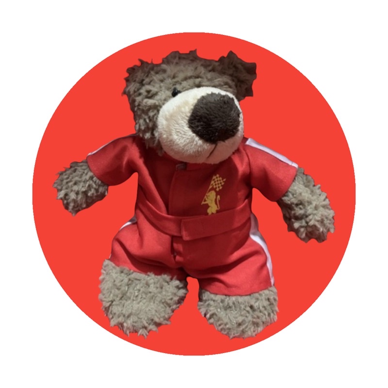 Teddy Bear Kostum 25cm preloved