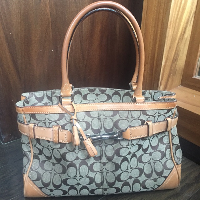 Coach Bag (Authentic)