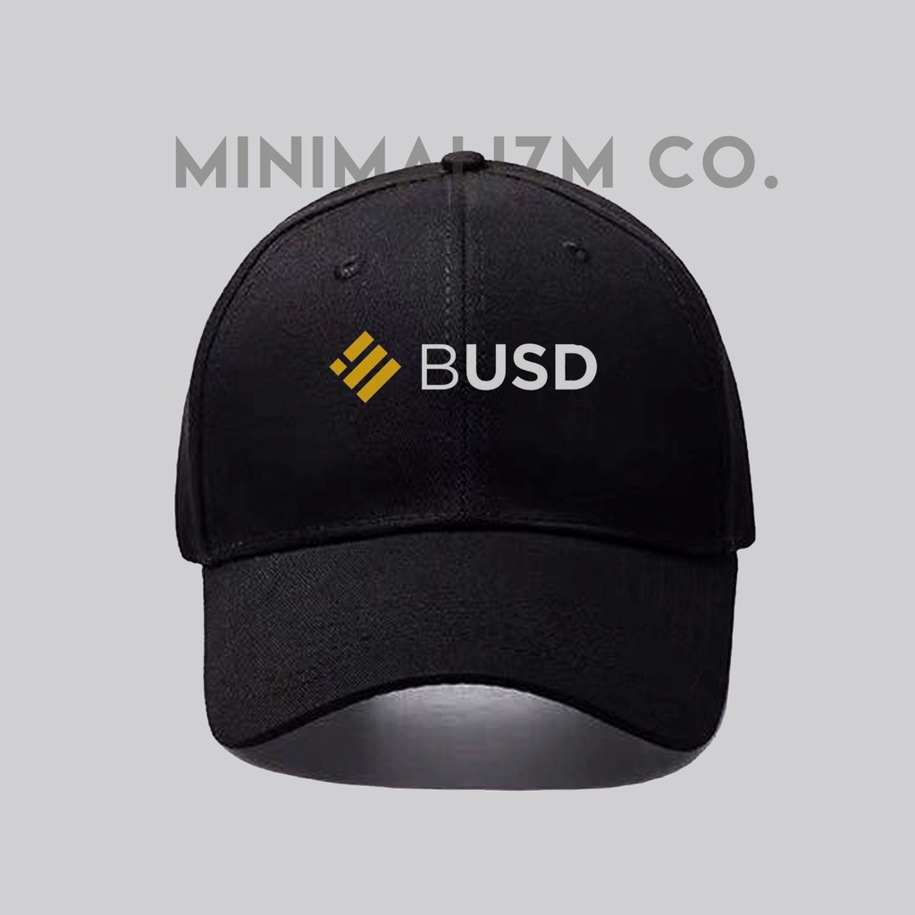 TOPI BINANCE USD BUSD PREMIUM