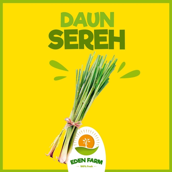 

PROMO DAUN SEREH - SAYUR BUAH MURAH 100% FRESH