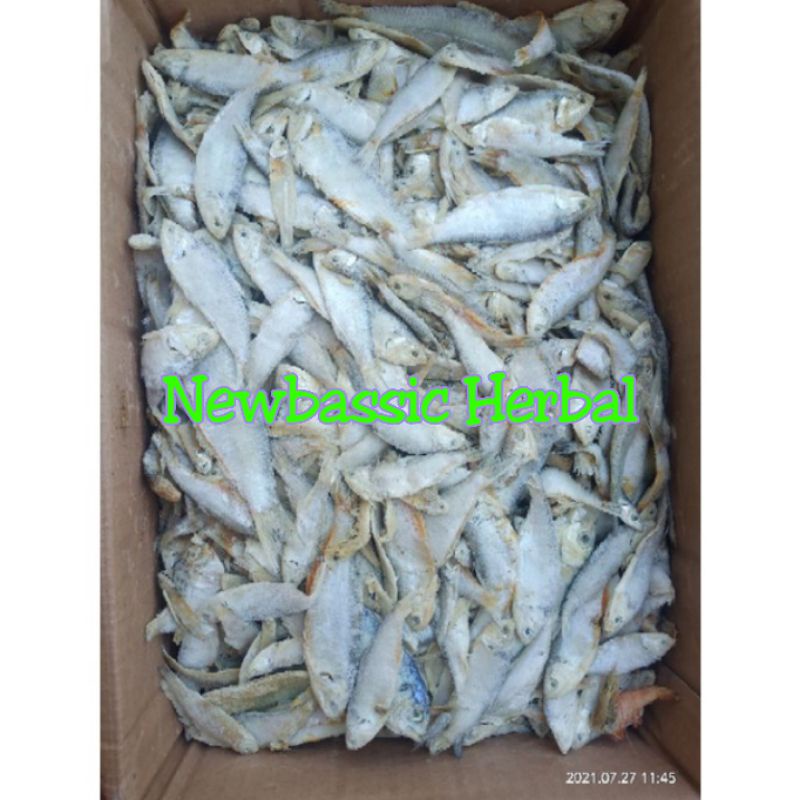 

ikan asin bulu ayam lampung paket 500g