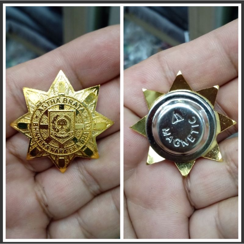 PIN ASTA BRATA/ PIN IPDN /PIN PURNA IPDN/ BROS ASTA BRATA/ BROS PURNA IPDN/ IPDN / PIN