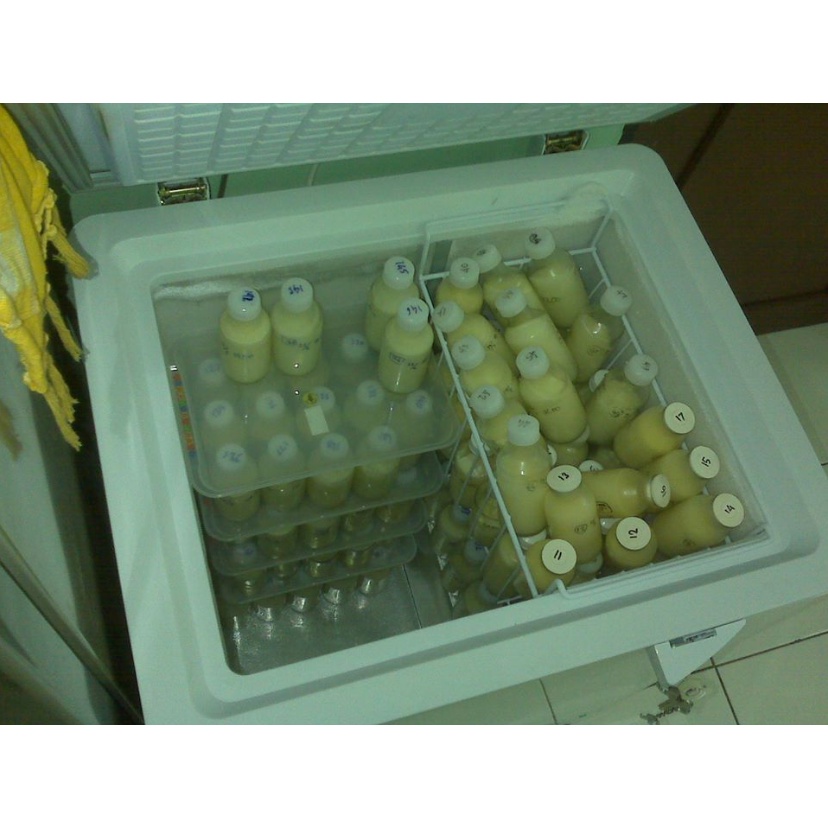 Paket 6 Bulan Sewa Freezer ASI / ASIP - Ukuran 100 Liter - JABODETABEK