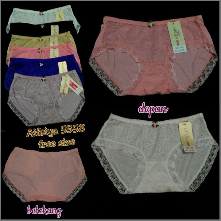 Aifeiya 5558 CD Wanita Import Transparan
