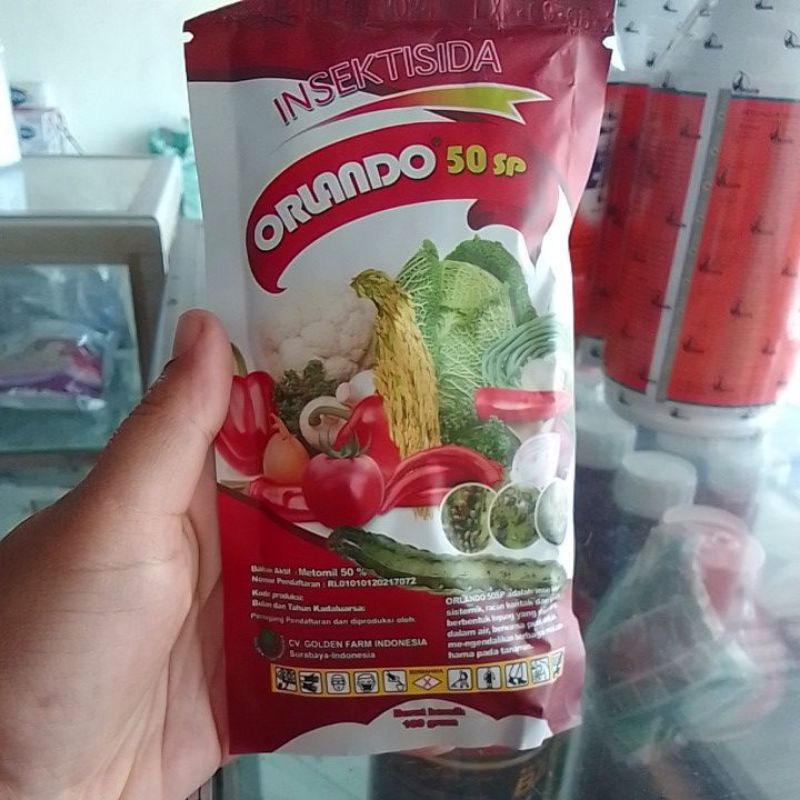 Orlando 50sp 100gram