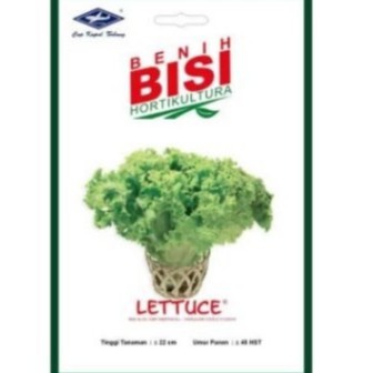 Benih Selada Keriting Hijau LETTUCE BISI Asli Kemasan Pabrik