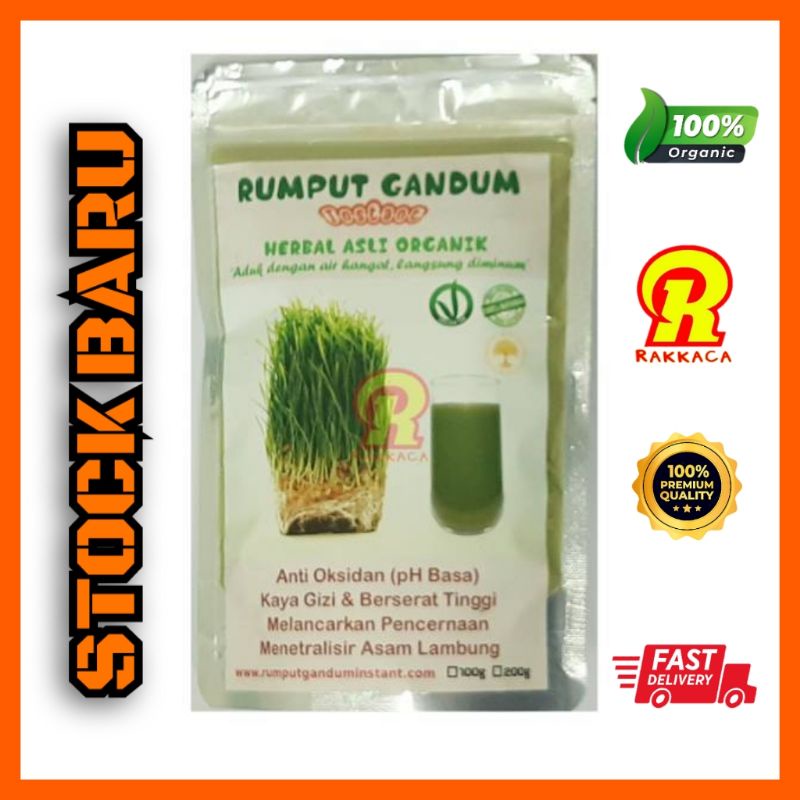 

Rumput Gandum Instant (100gr) Wheatgrass