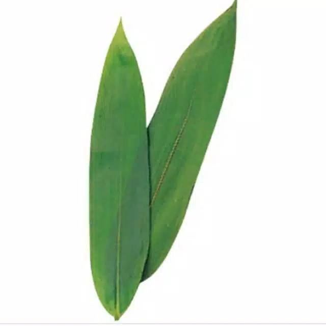 Daun Bambu segar buat bungkus makanan Bacang