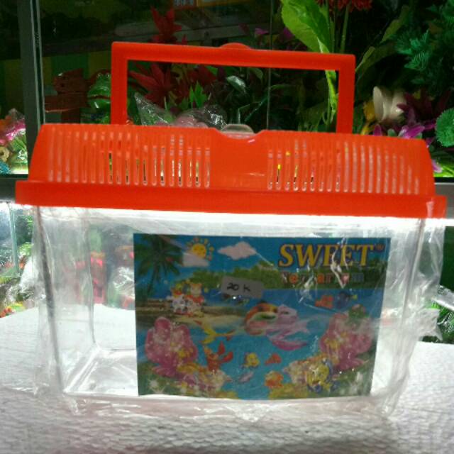 PET HOME RUMAH KURA IKAN HAMSTER SWEET UK. TANGGUNG