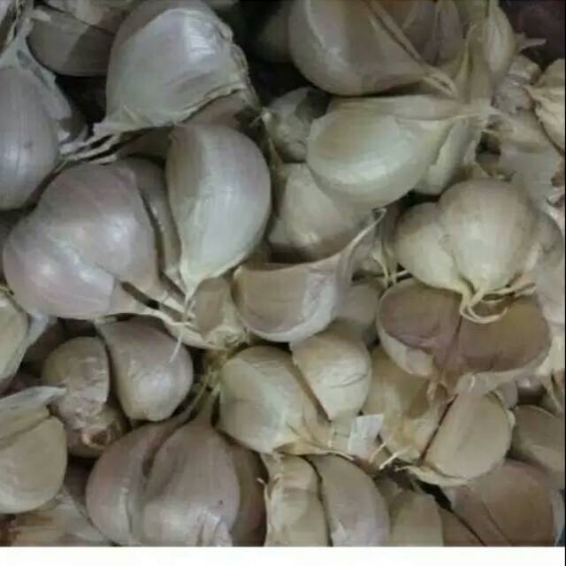 Bawang kating 100gram