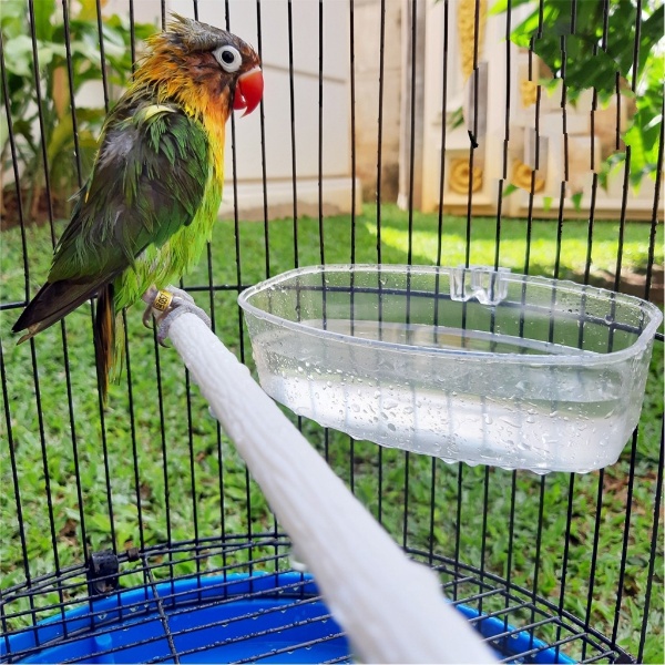 Cepuk Mandi Burung Oval Wadah Tempat Makan Minum Mika Plastik Tebal