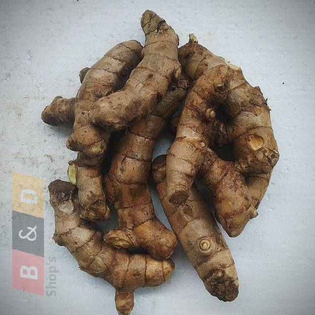 

Temu Mangga | Temu Putih Jamu-Jamuan Netto 1 Kg.