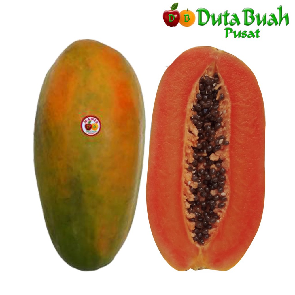 

DUTA BUAH Pepaya california super 0.7-1kg/pcs