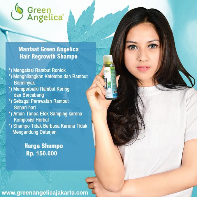 Terbaik HEMAT 70RB PAKET PERAWATAN RAMBUT GREEN ANGEICA (SHAMPO,SERUM,TONIC)