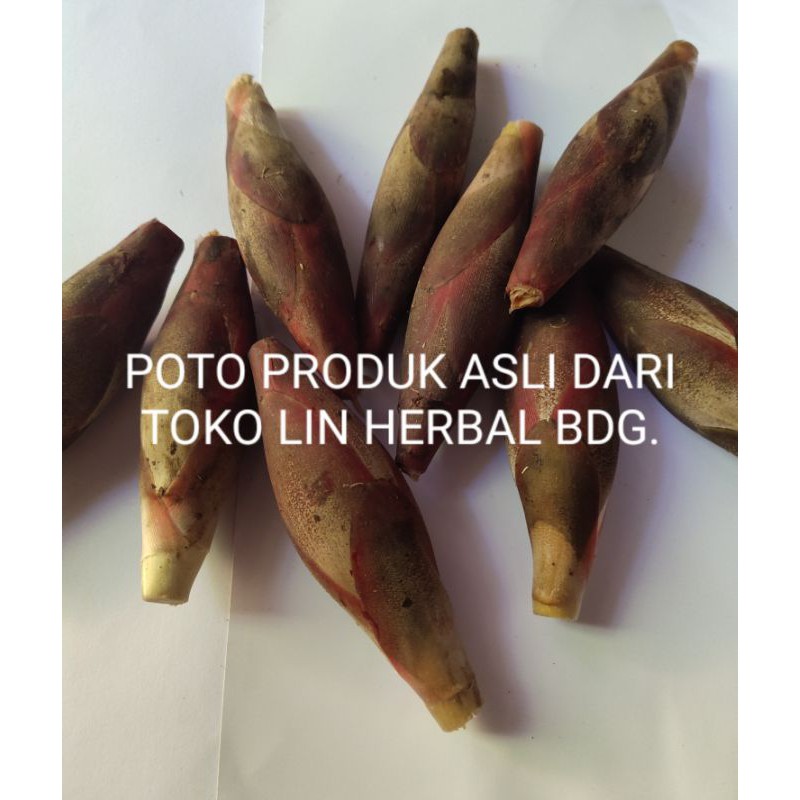 

Buah Galoba Segar Matang-Buah Galobe Pining Kemasan 500 Grm