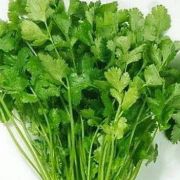 

Daun Ketumbar / Wansui 100 Gram