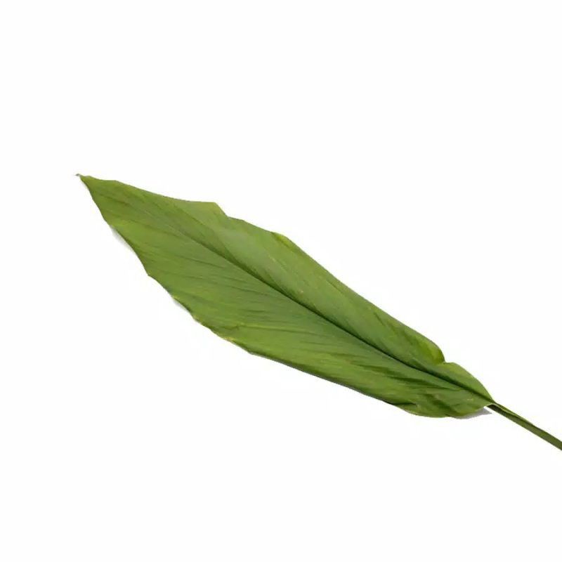 

daun kunyit perlembar