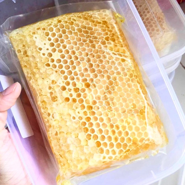 

Sarang Madu Mellifera Premium / Honeycomb mellifera Premium 550gr