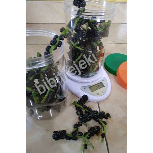 

BUAH ANGKUNG SEGAR 200gr HERBAL DARAH TINGGI, STROKE, PEMBEKUAN DARAH
