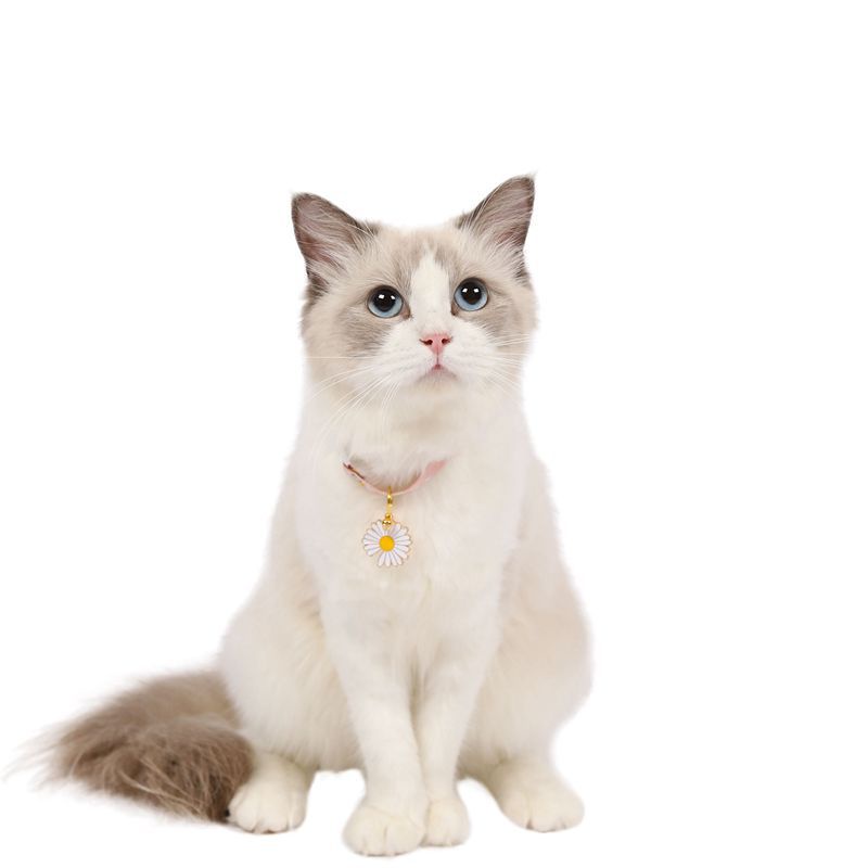 Kalung Kucing Anjing Kelinci Adjustable Lonceng Cat Collar Dog Collar