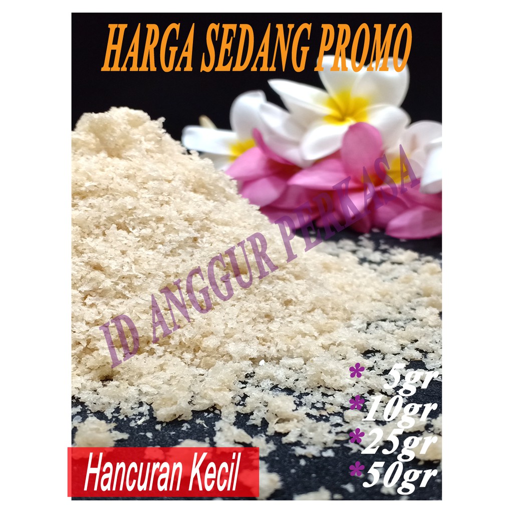 

SARANG BURUNG WALET HANCURAN KECIL - KUALITAS PREMIUM (VARIAN 5-50 GRAM)