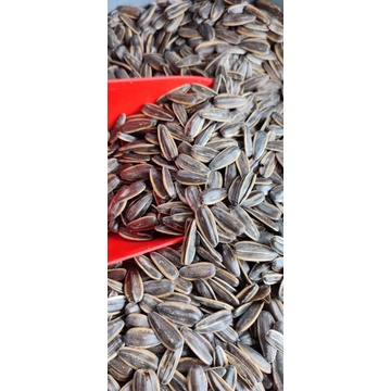 

KUACI Kemasan 500 gram
