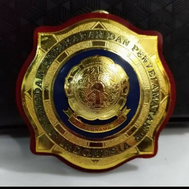 KEWENANGAN DAMKAR PDH PAKU