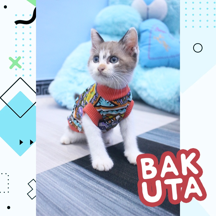 Kaos Lengan pendek motif No #4958 / Baju Kucing tangerang murah / baju kucing lucu size S-XL