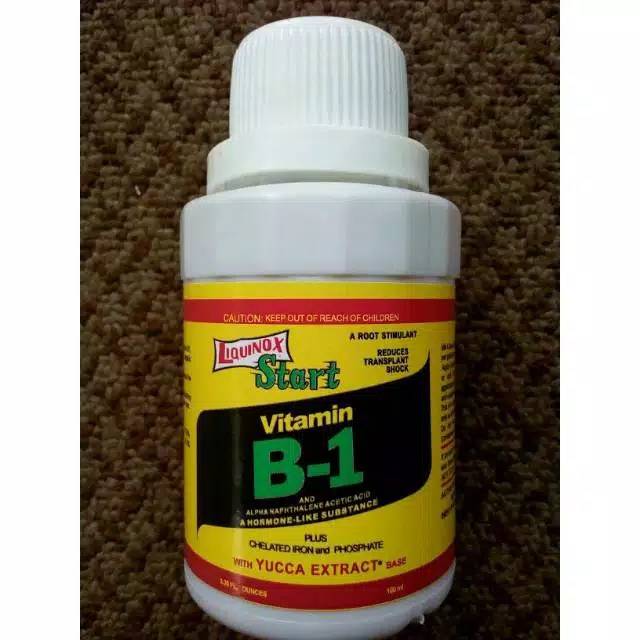 Pupuk Liquinox B1 / pupuk B1 / hormon B1 / Pupuk vitamin B1 / liquinox start vitamin B 1