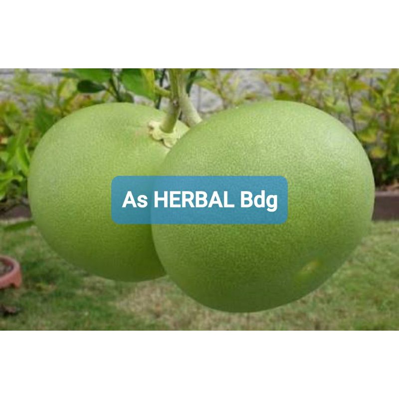 

Buah jeruk bali putih / petik langsung-az