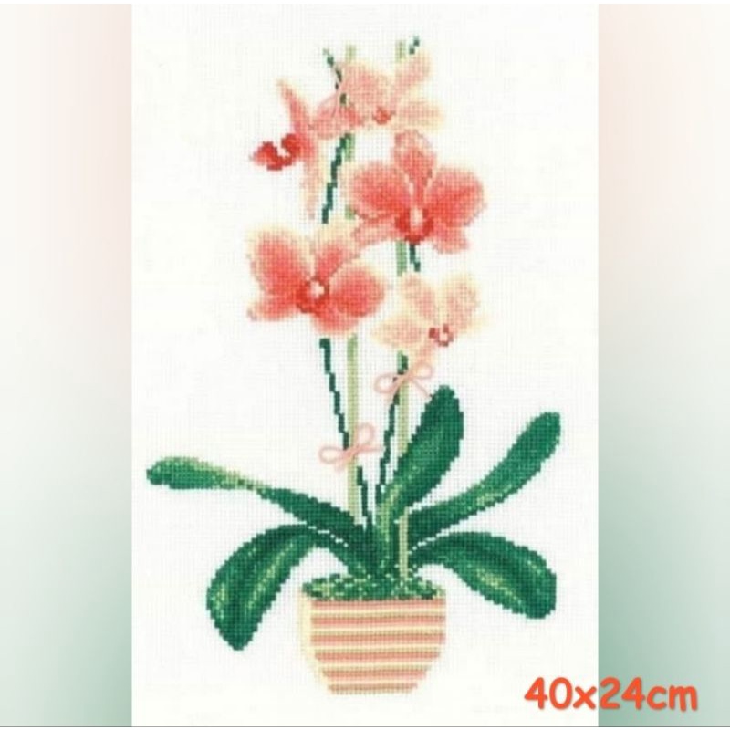 paket kristik bunga anggrek orchid peach orange cross stitch
