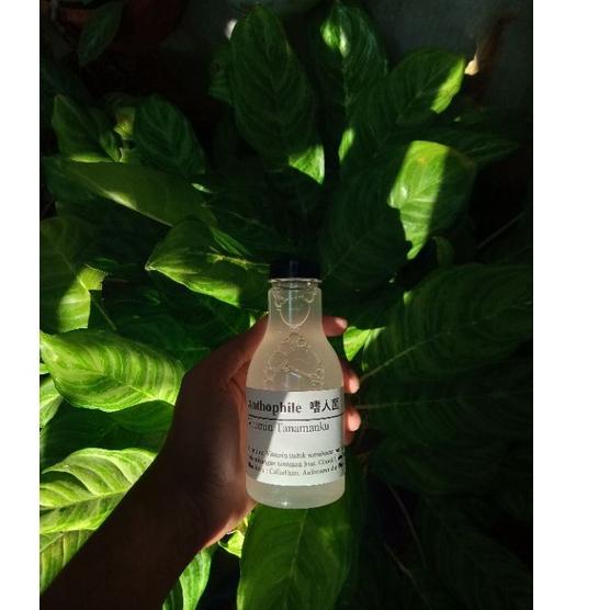 Stock Masih Banyak [] Anthophile (Vitamin Tanamanku)/Pupuk Tanaman/Aglonema/Agloenema/Keladi/caladiu