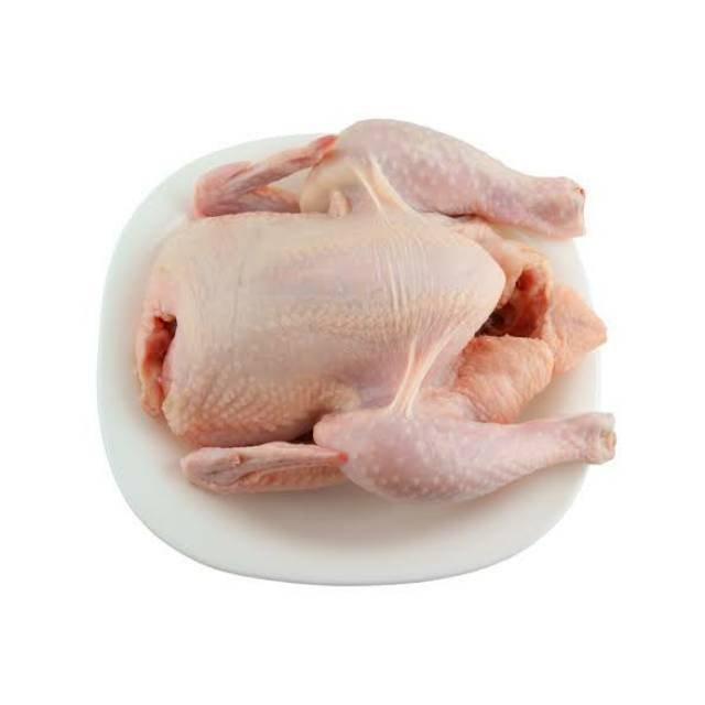 

Ayam Negeri 1 Ekor