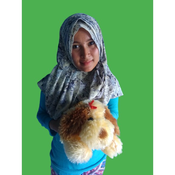 Boneka anjing goopy S murah