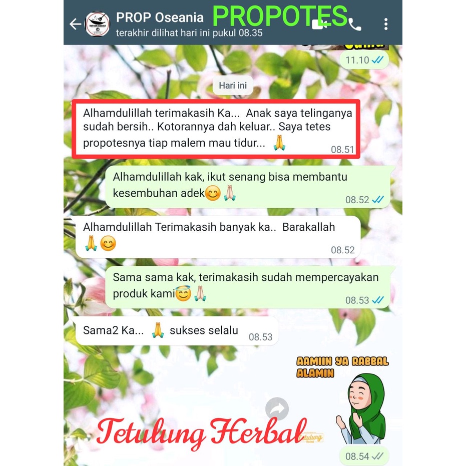 Propolis Obat Telinga Berair , Bernanah, Bau, Keluar Cairan - Radang, Berdengung PROPOTES 10ml