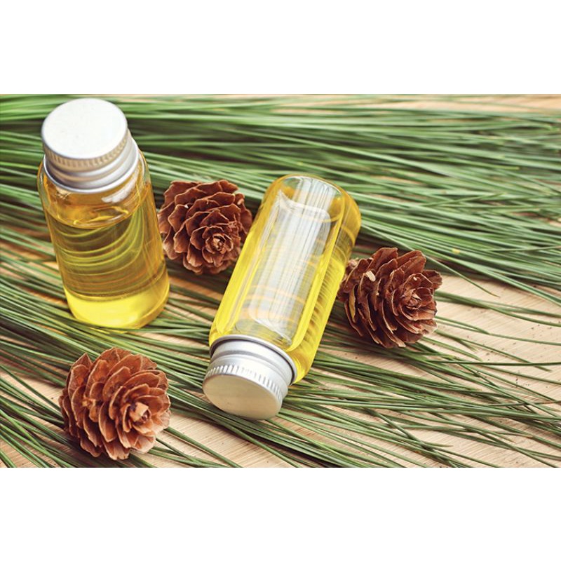 Pine oil / minyak pinus 1 liter