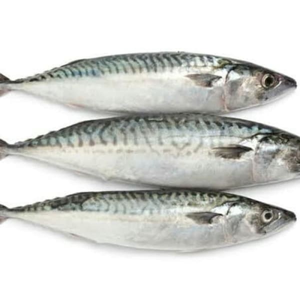 

IKAN KEMBUNG BANJAR - PASAR KEMIRI