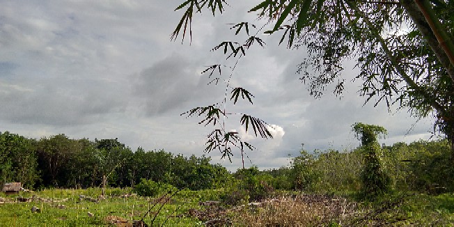 Mobile Phone Wall-mounted Square Self-adhesive Sucker Silicone Suction Cups In The Car Home Storage Rack