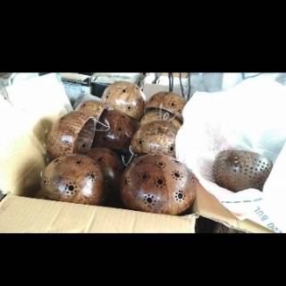 Pot anggrek tempel batok kelapa bunga gantung Shopee Pot anggrek tempel batok kelapa bunga gantung Shopee