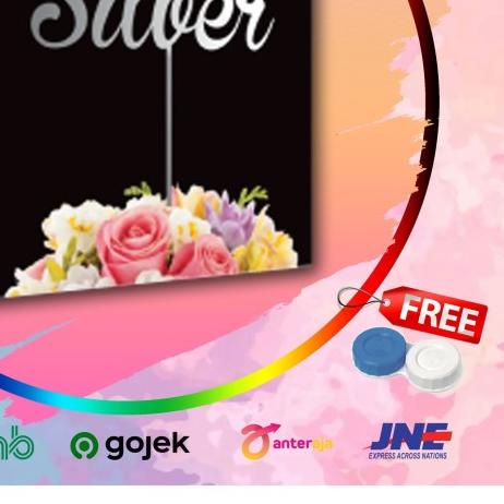 ✧ Softlens X2 Ice Silver & Gold ➣