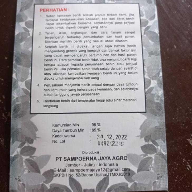 Terlaris.. Benih semangka non biji bulat Radja