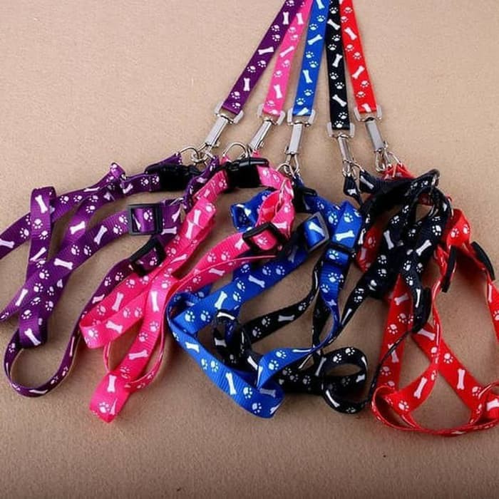 Harness Leash Tali Rompi Anjing Kucing Kelinci Otter Musang