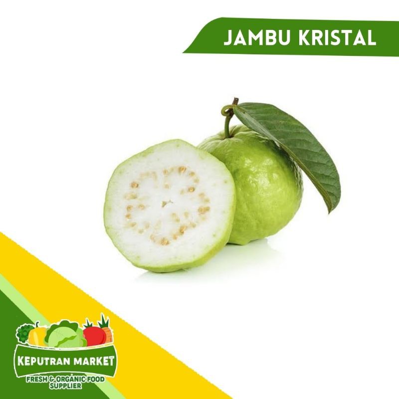 

[SAYUR EMAK] JAMBU KRISTAL 500 GRAM / BUAH SEGAR