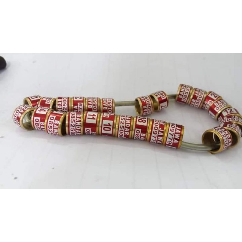 RING MODEL BARU LASER MK VARIASI UNTUK MERPATI PERKURUT MURAI BATU KENARI